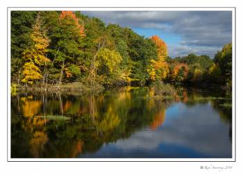 fall color 2 copy.jpg